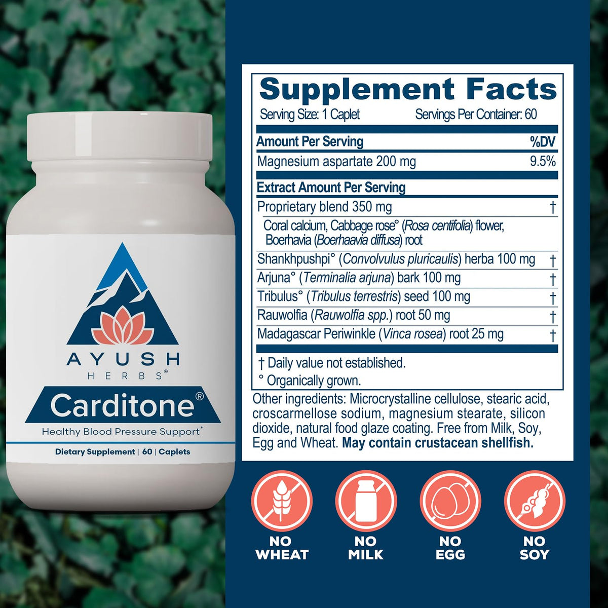 Ayush Herbs Carditone 120 comprimés côté droit de l'emballage