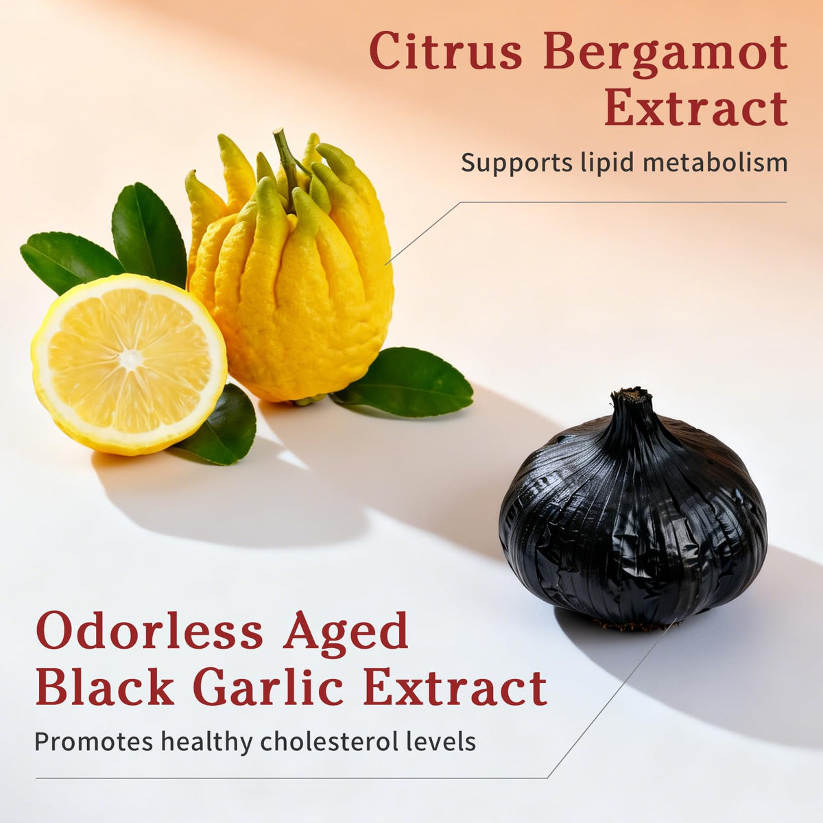B BEWORTHS Cholesterol 120 gélules avec une cuillère pour illustration