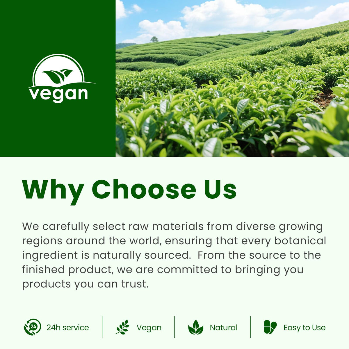 B BEWORTHS huile d'origan, flacon avec fond neutre