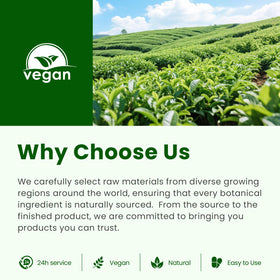 B BEWORTHS huile d'origan, flacon avec fond neutre