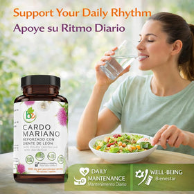 B-Experts Cardo Mariano et Diente de León capsules avec ingrédients