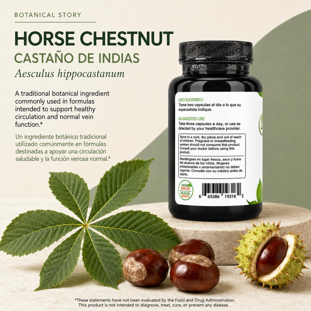 B-Experts Castaño de Indias gélules près d'une plante verte