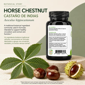 B-Experts Castaño de Indias gélules près d'une plante verte