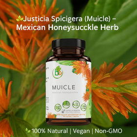 B-Experts Muicle Capsules Forte 1200 mg aperçu des capsules