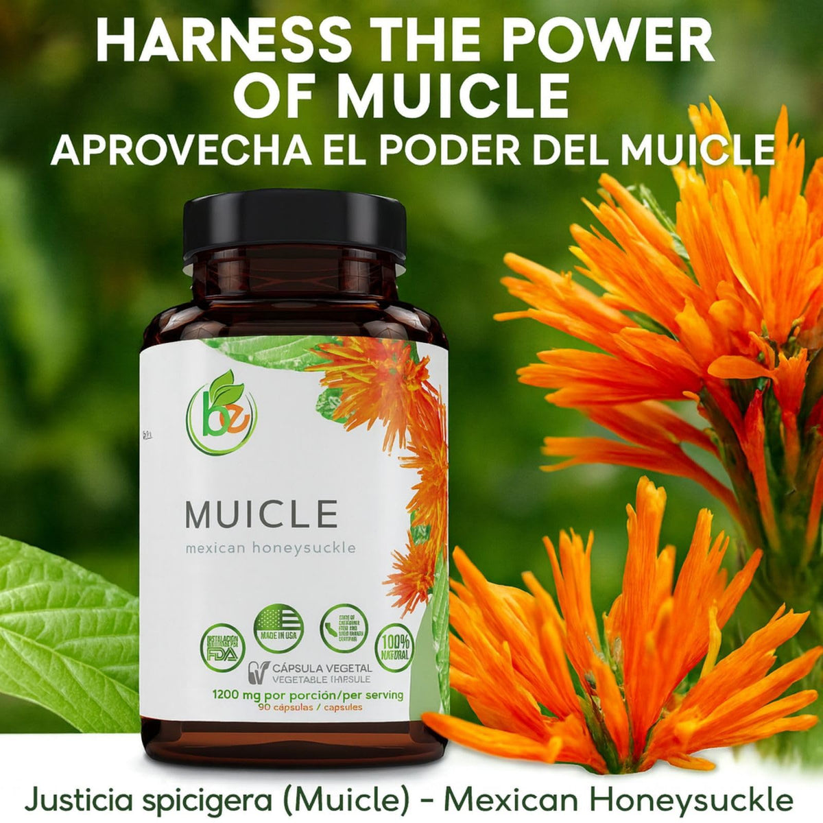 B-Experts Muicle Capsules Forte 1200 mg sur fond blanc