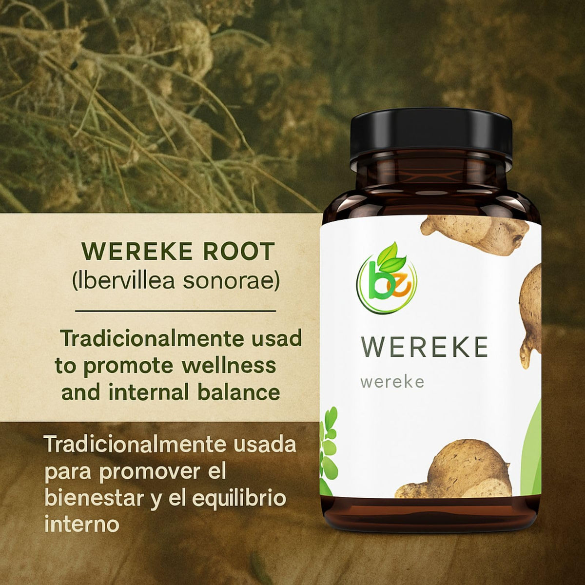 B-Experts Wereke 1500 mg capsules végétales en environnement naturel