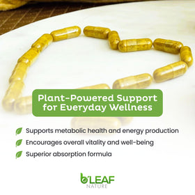 B'LEAF NATURE Berbérine Phytosome 1100mg boîte ouverte