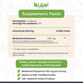 B'LEAF NATURE Berbérine Phytosome 1100mg capsules à l'intérieur