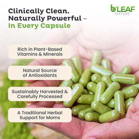 B'LEAF NATURE capsules de moringa 1000mg vue en gros plan