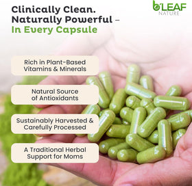 B'LEAF NATURE Capsules de Moringa Oleifera 1000mg, taille des capsules