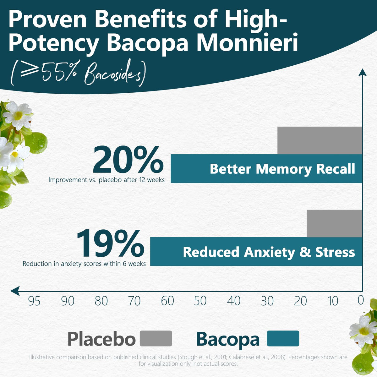 Bacopa Monnieri 300 mg capsules ouvertes sur une table
