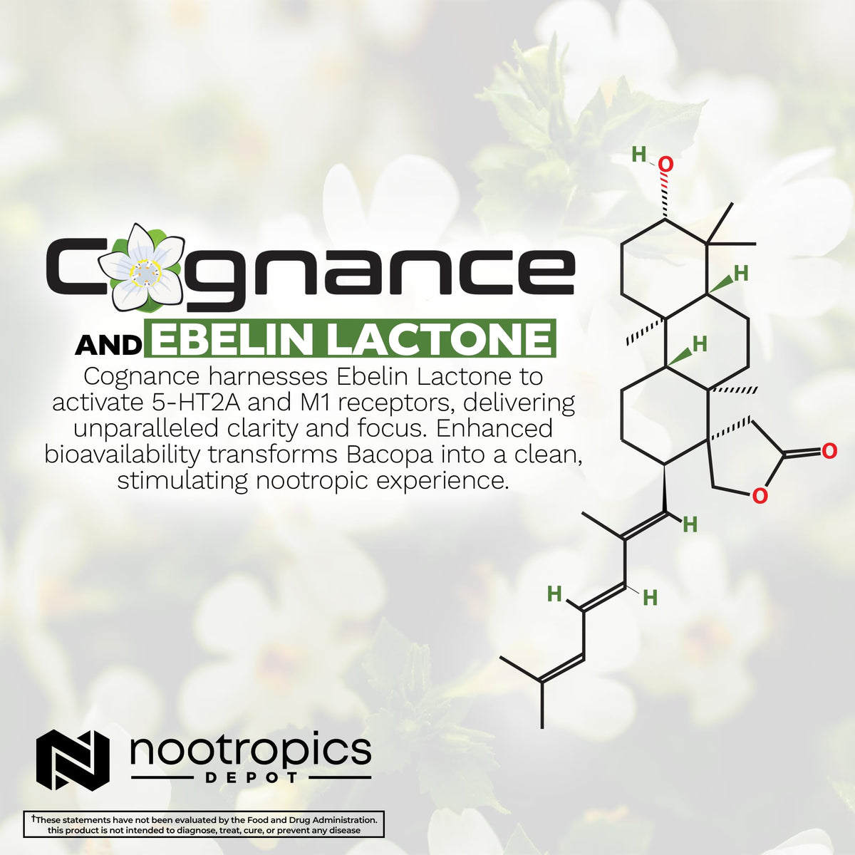 Bacopa Monnieri Cognance 100mg capsules en main