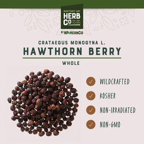 Baies de Hawthorn dans une tasse de thé, infusion