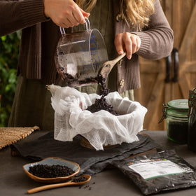 Baies de Sureau Séchées et infusions
