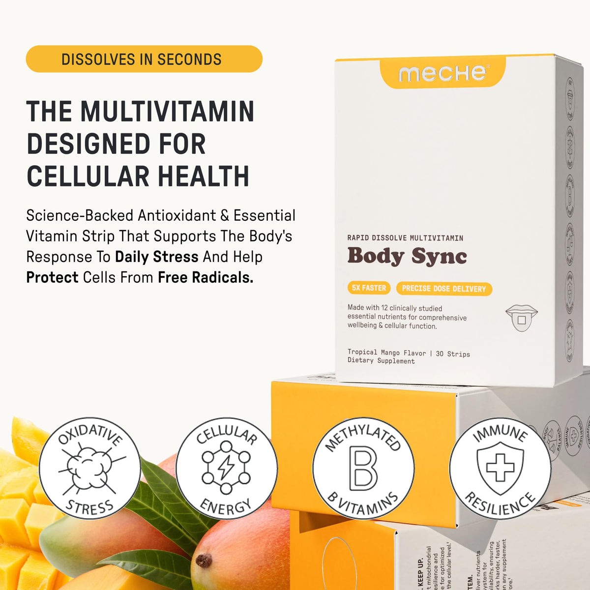 Bande multivitaminée Meche Body Sync™ sur fond blanc