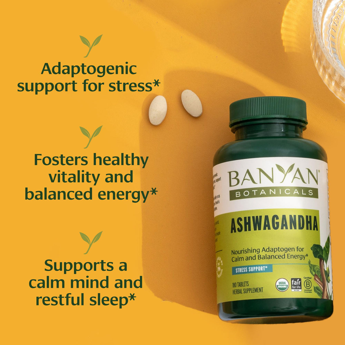 Banyan Botanicals Ashwagandha Bio comprimés pressés