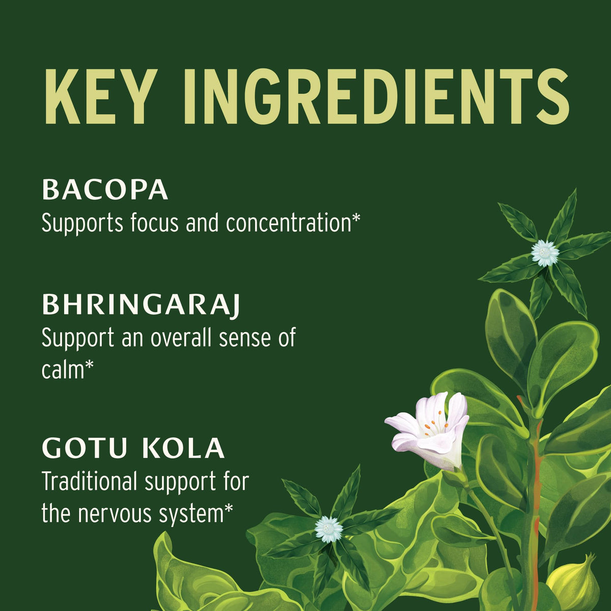 Banyan Botanicals Clarté Mentale 90 comprimés côté