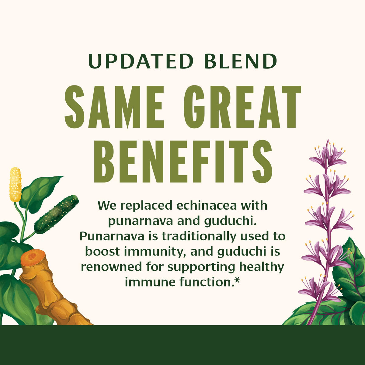 Banyan Botanicals Complément Alimentaire Bio 90 Comprimés, comprimés sur une surface