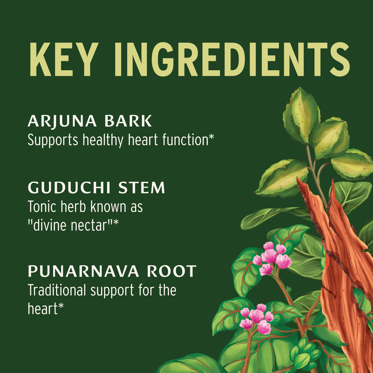 Banyan Botanicals Formule Cardiaque Bio, comprimés sur une table