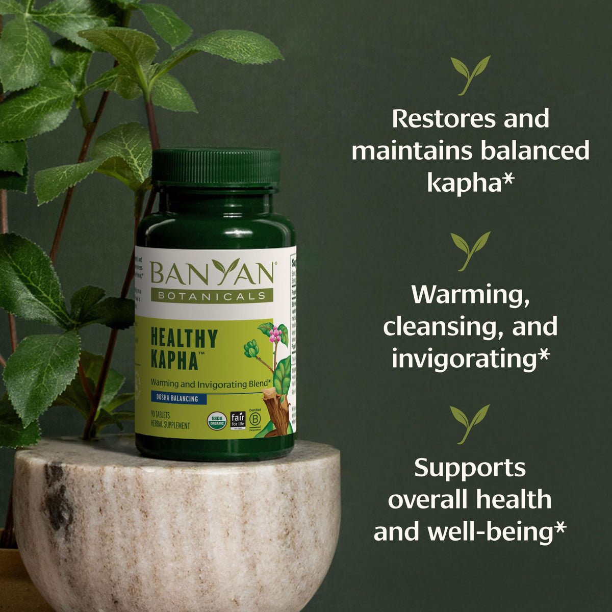 Banyan Botanicals Healthy Kapha emballage et comprimés