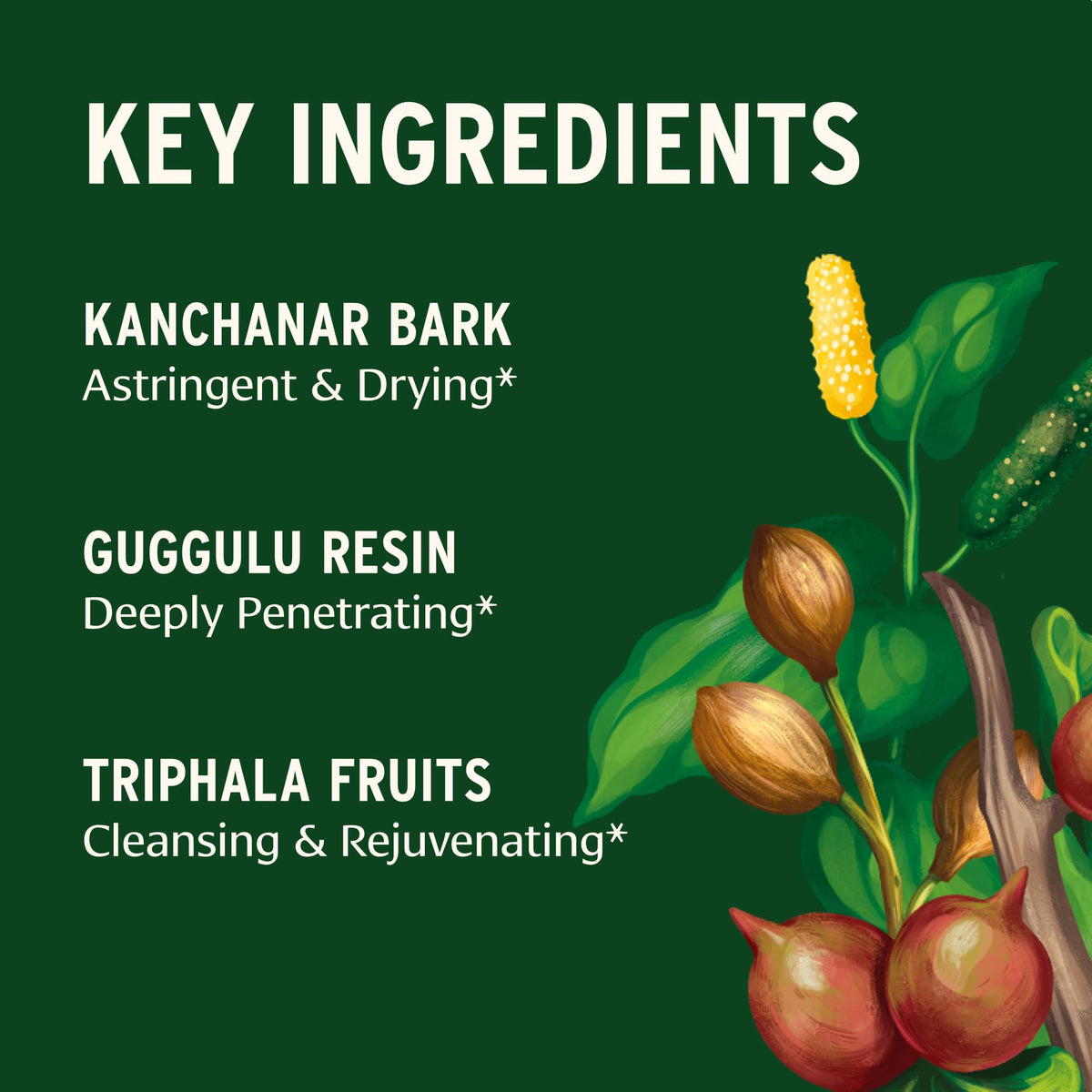Banyan Botanicals Kanchanar Guggulu prise en main
