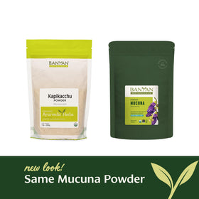 Banyan Botanicals Kapikacchu Poudre 465g en poudre sur une cuillère