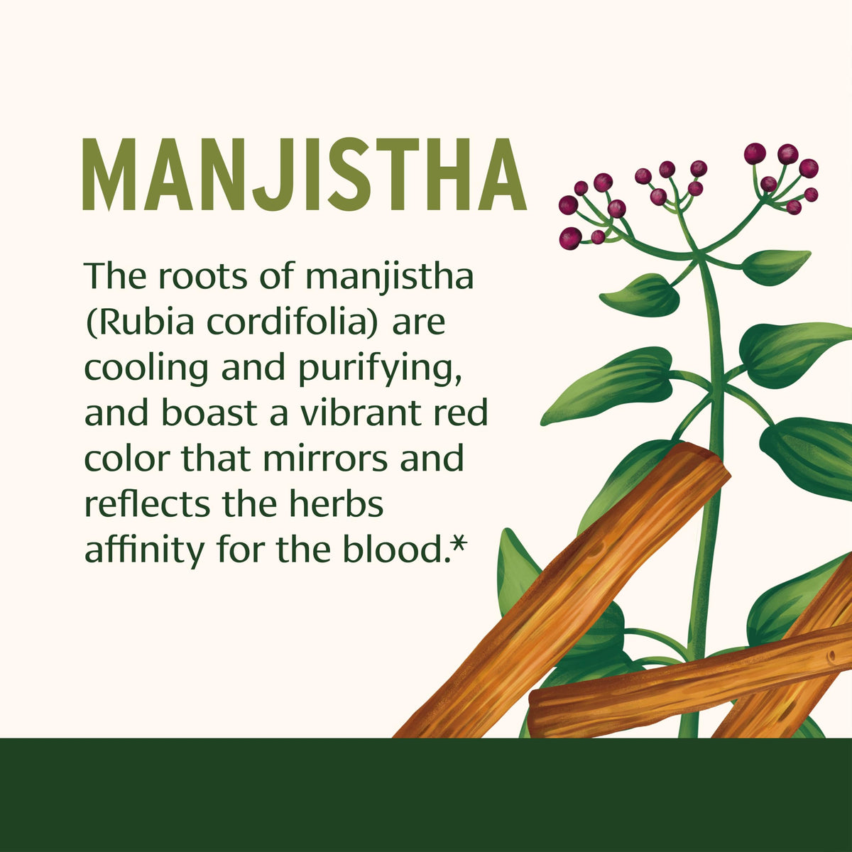 Banyan Botanicals Manjistha, comprimés bio avec plantes en arrière-plan