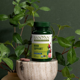 Banyan Botanicals Mood Support vue de derrière avec informations nutritionnelles