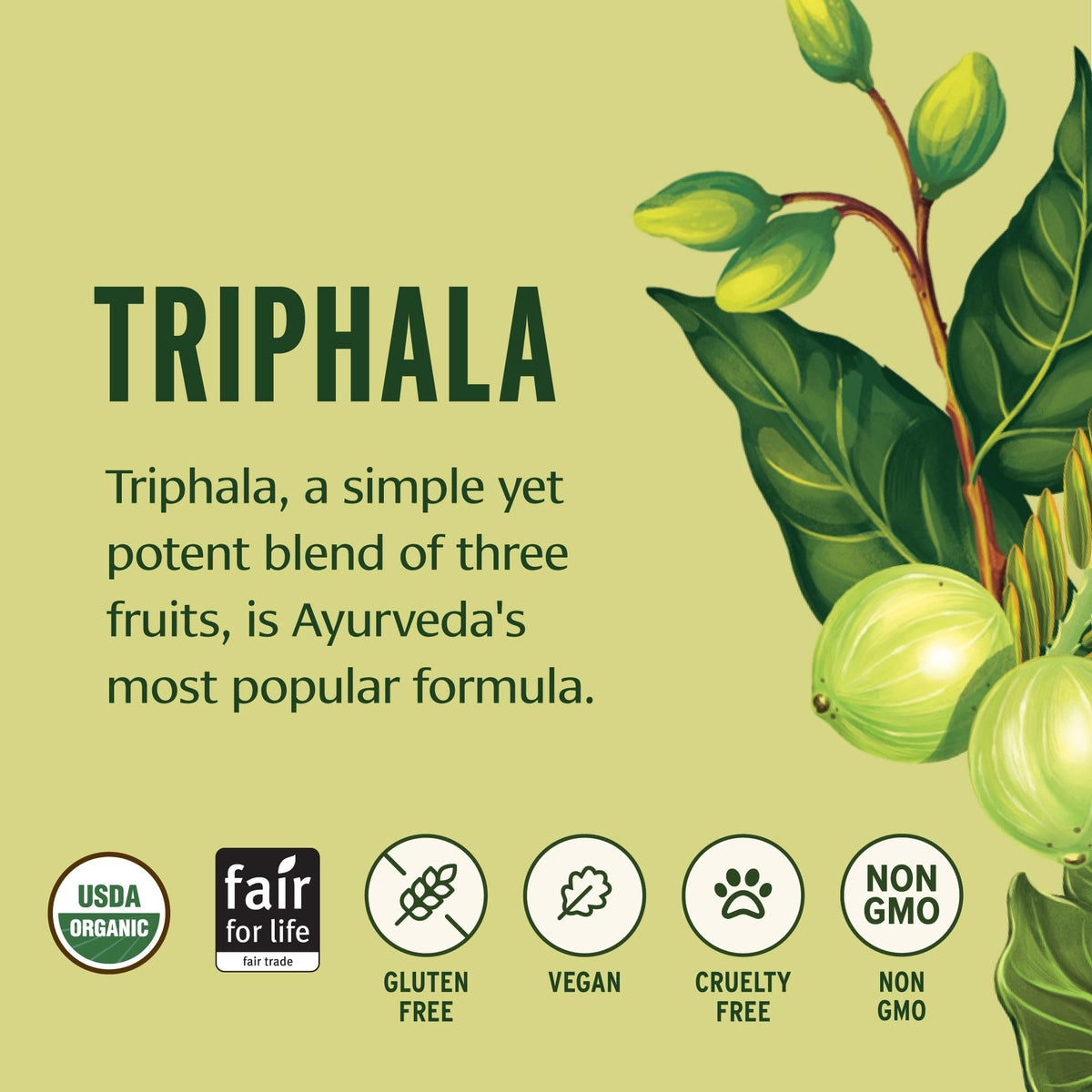 Banyan Botanicals Poudre de Triphala Bio 472g en poudre