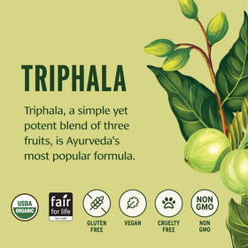 Banyan Botanicals Poudre de Triphala Bio 472g en poudre