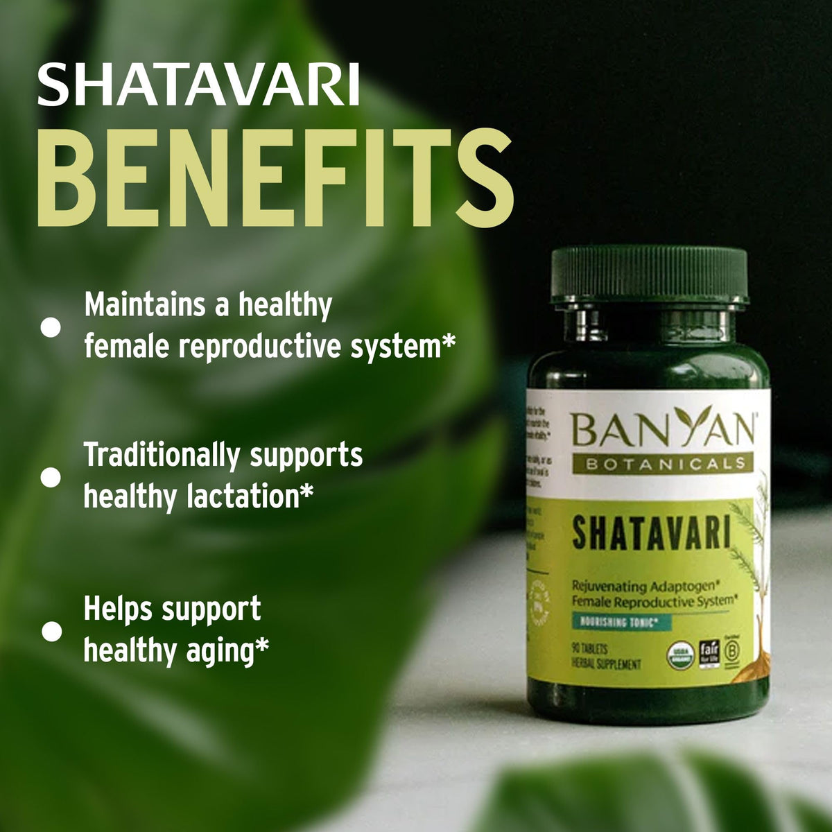 Banyan Botanicals Shatavari 90 Tablettes Bio avec liquide chaud