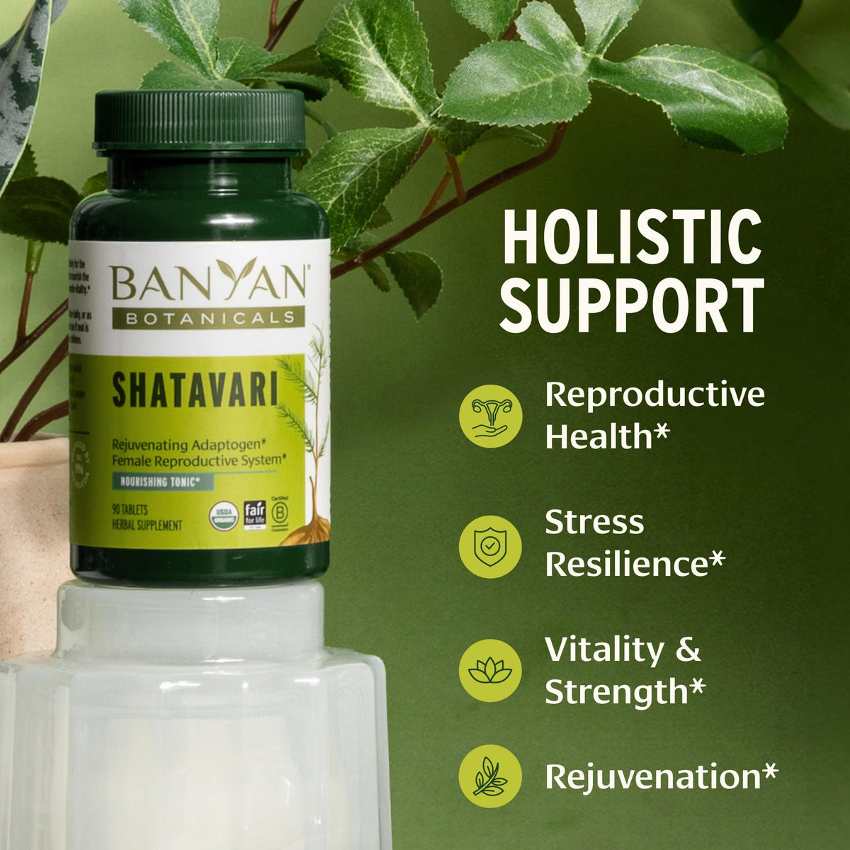 Banyan Botanicals Shatavari 90 Tablettes Bio emballage