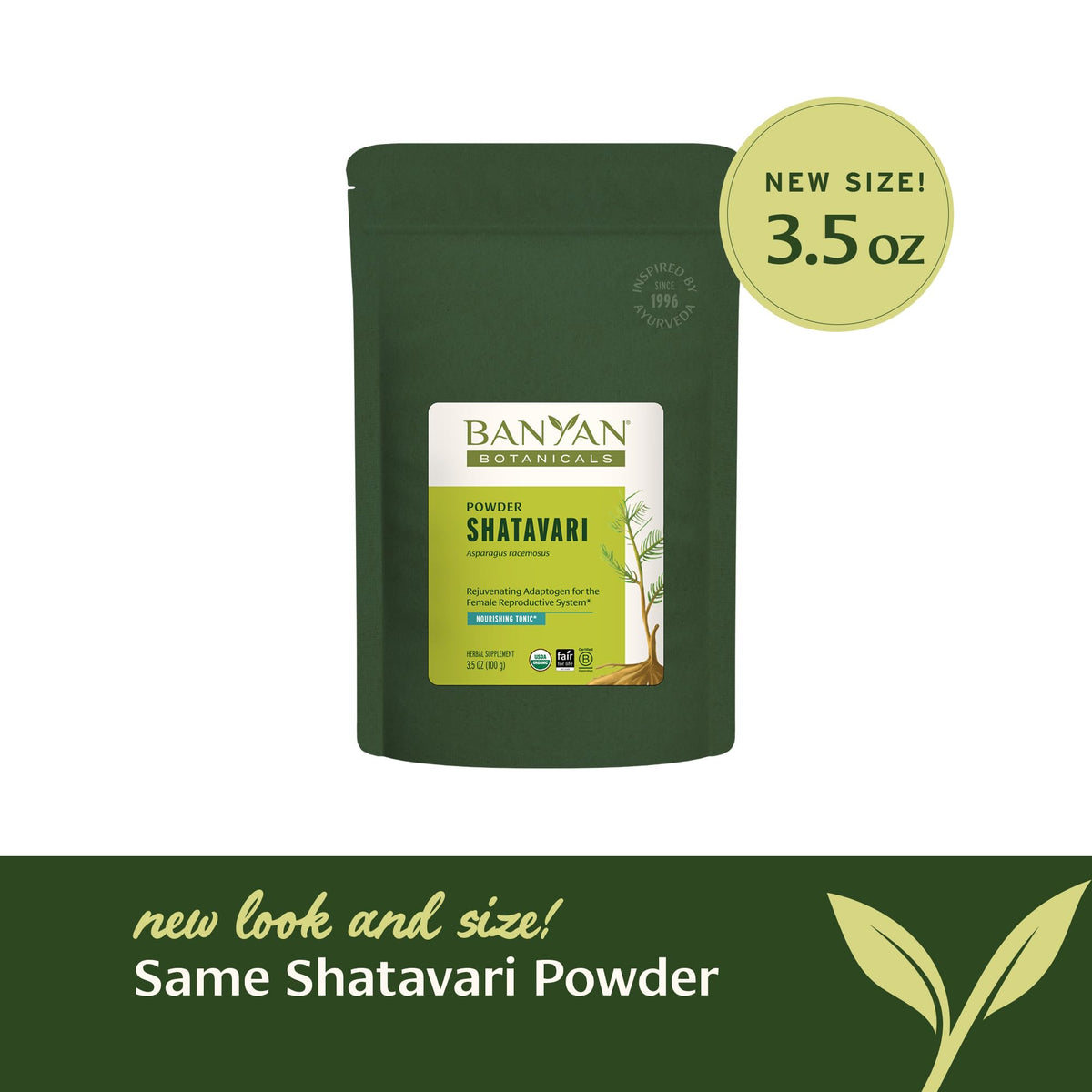 Banyan Botanicals Shatavari Poudre Bio 91g - détail de la poudre
