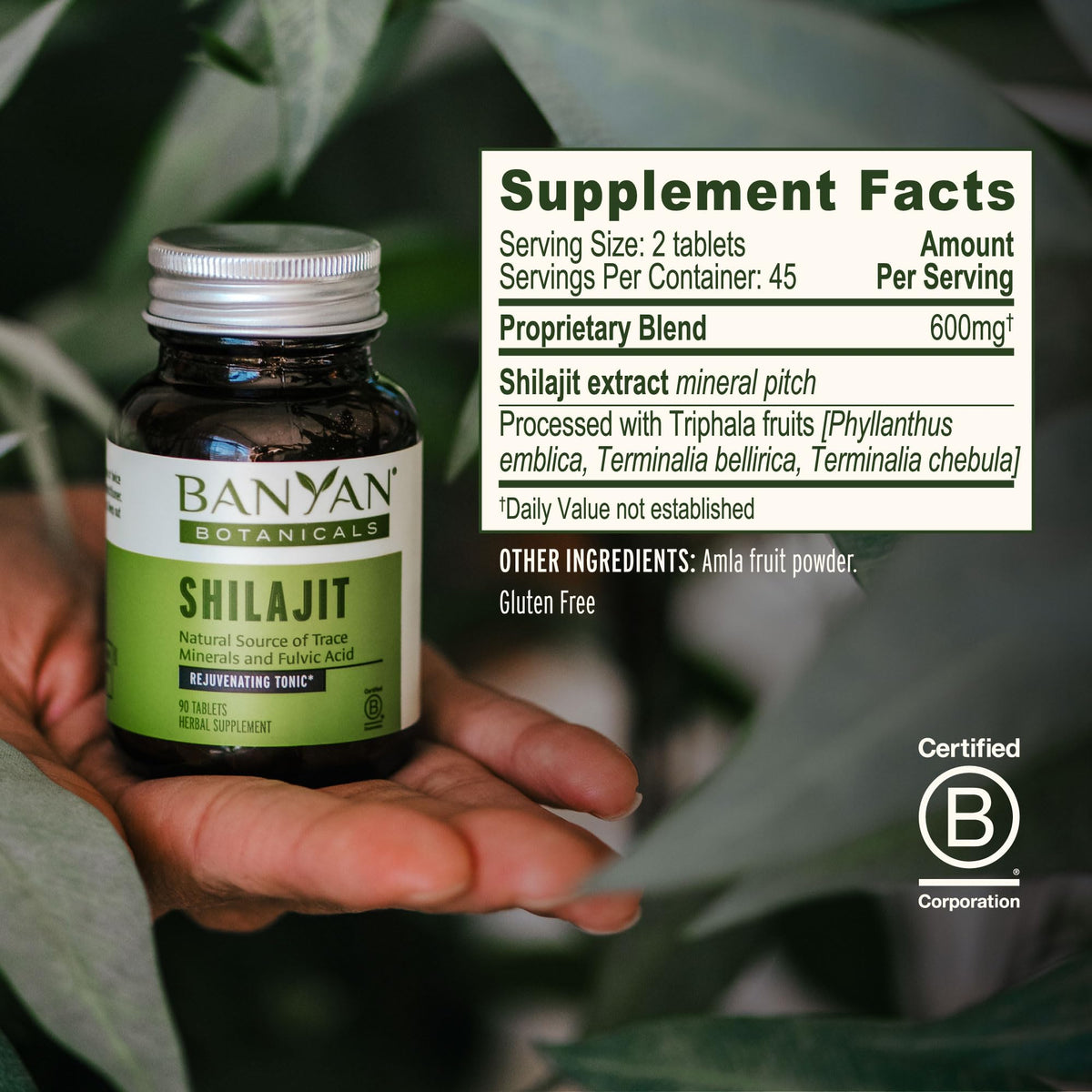 Banyan Botanicals Shilajit tablettes sur une table