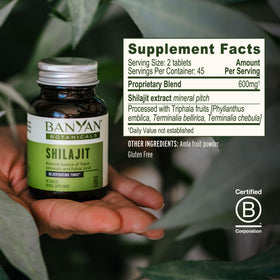 Banyan Botanicals Shilajit tablettes sur une table