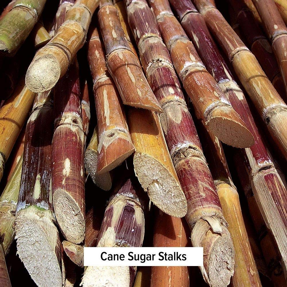Banyan Botanicals Sitopaladi Poudre 100g sur une table