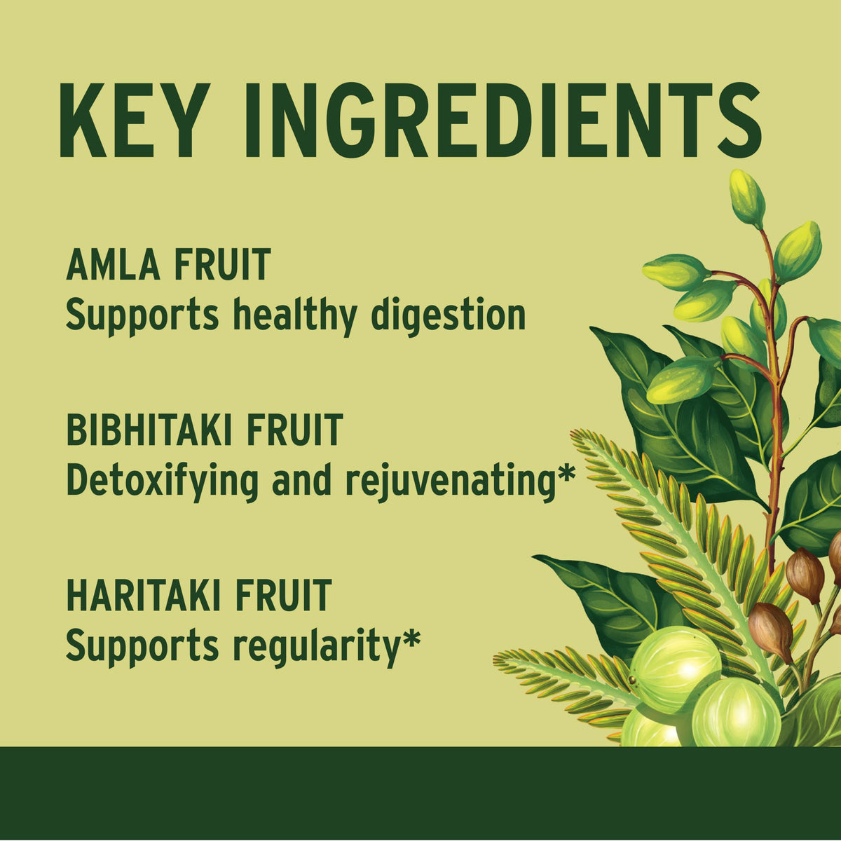 Banyan Botanicals Triphala Bio ingrédients naturels