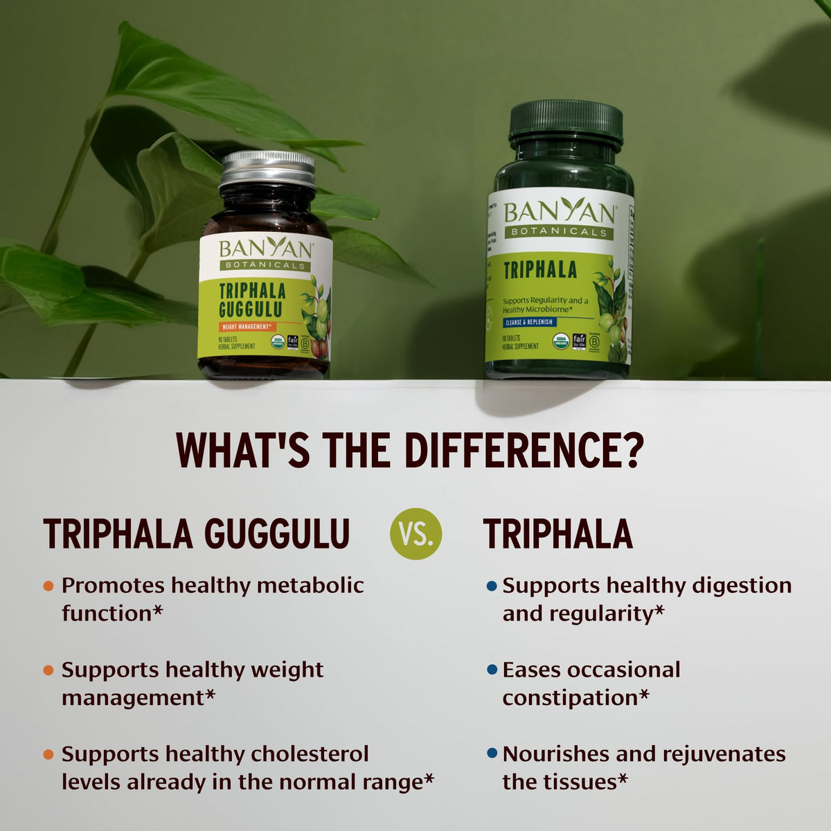 Banyan Botanicals Triphala Guggulu 90 tablettes avec fond neutre
