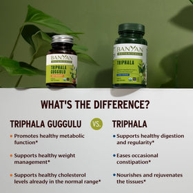 Banyan Botanicals Triphala Guggulu 90 tablettes avec fond neutre