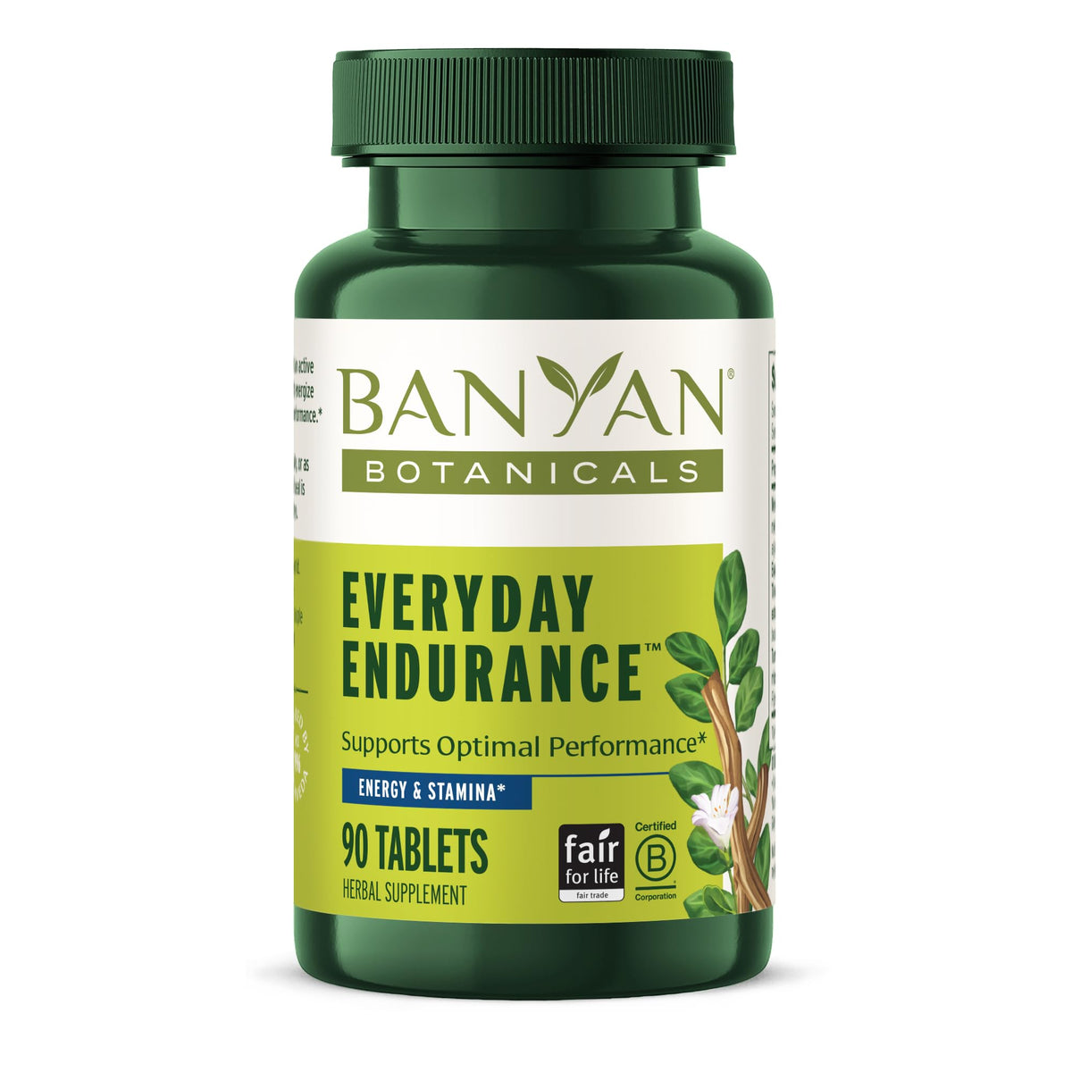 Banyan Botanicals Vitalité Quotidienne 90 comprimés vue de face
