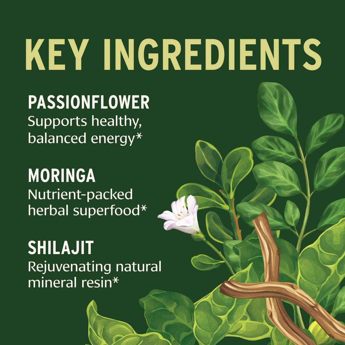 Banyan Botanicals Vitalité Quotidienne comprimés avec des herbes en arrière-plan