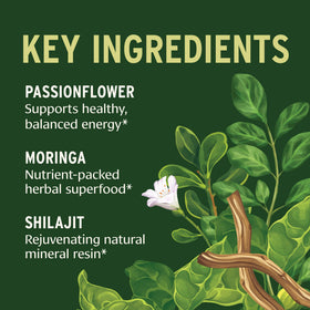 Banyan Botanicals Vitalité Quotidienne comprimés avec des herbes en arrière-plan
