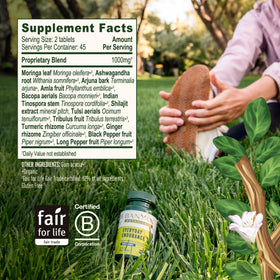 Banyan Botanicals Vitalité Quotidienne comprimés sur un bureau