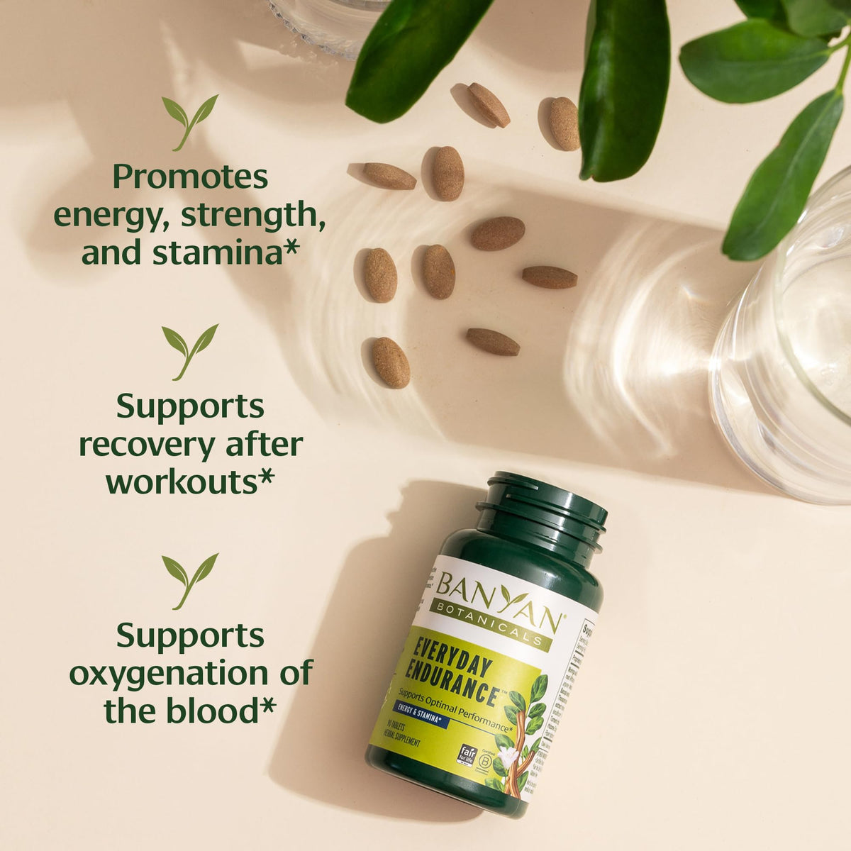 Banyan Botanicals Vitalité Quotidienne emballage et informations nutritionnelles
