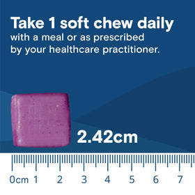 Bariatric Fusion Probiotiques Chewy 60 Compte chews en gros plan