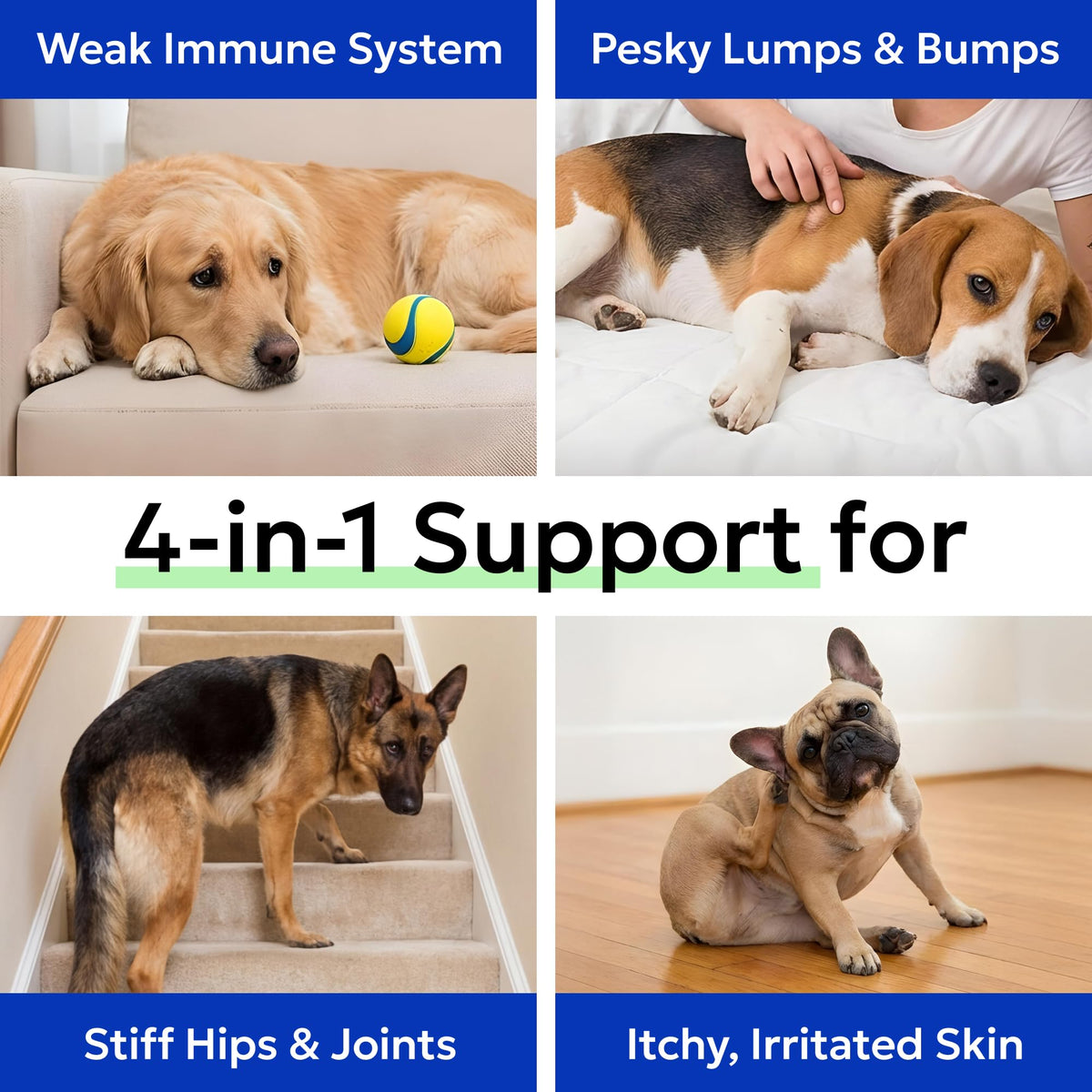 BARK&SPARK Chews de Champignon Turkey Tail pour Chiens - chews individuels