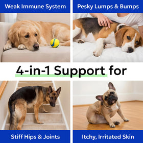 BARK&SPARK Chews de Champignon Turkey Tail pour Chiens - chews individuels