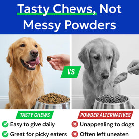 BARK&SPARK Chews de Champignon Turkey Tail pour Chiens - chien en train de mâcher