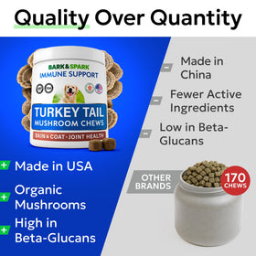 BARK&SPARK Chews de Champignon Turkey Tail pour Chiens - texture moelleuse