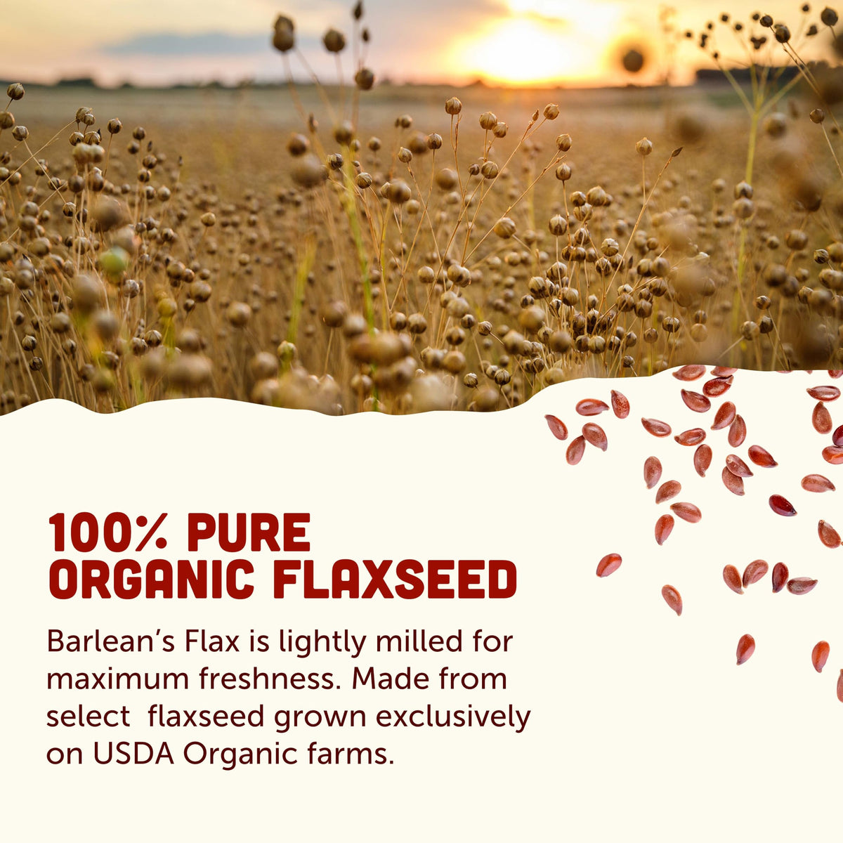 Barlean's Forti-Flax Graines de Lin Bio ajoutées à un smoothie
